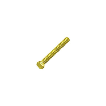 Gold Rimless Trim Screws - Hexagonal