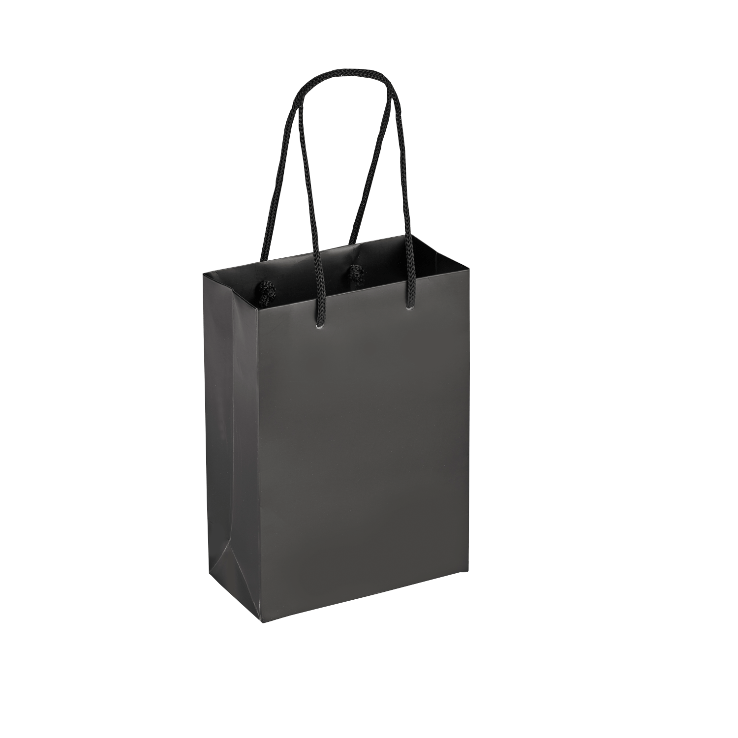 Boutique Shopping Bags Black - Laminated (Small) [Min. Order Qty: 100 Bags]