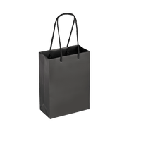 Boutique Shopping Bags Black - Laminated (Small) [Min. Order Qty: 100 Bags]