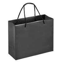Boutique Shopping Bags Black - Laminated (Large) [Min. Order Qty: 100 Bags]