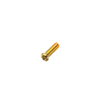 Hinge Screws