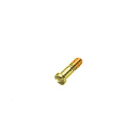 Hinge Screws