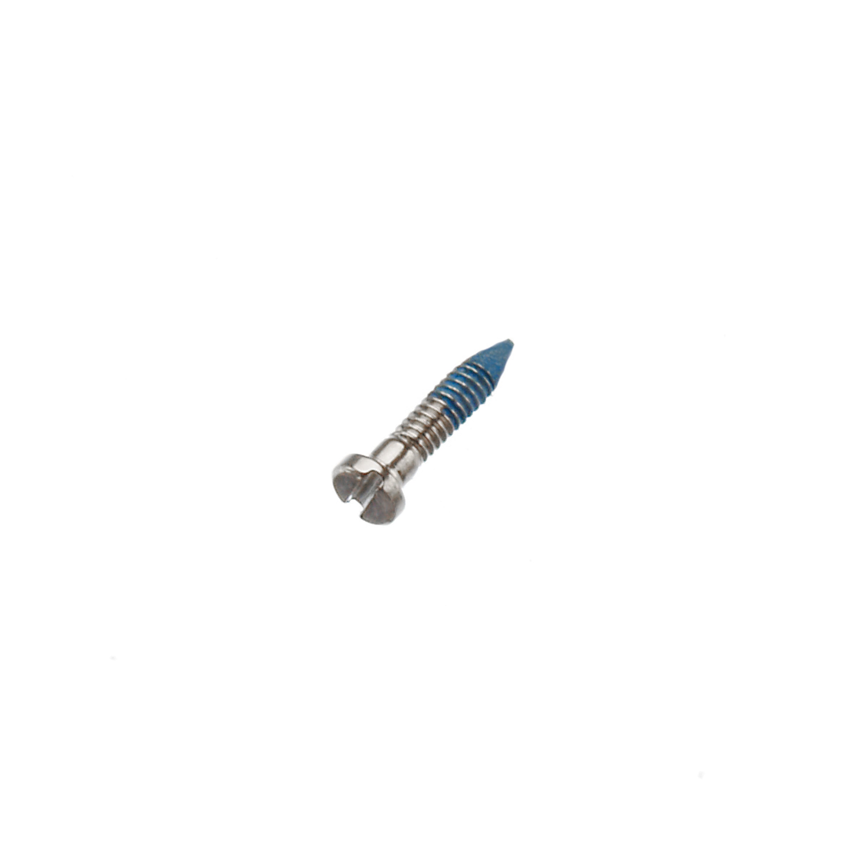 Hinge Screws